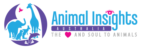 Animal Insights Australia
